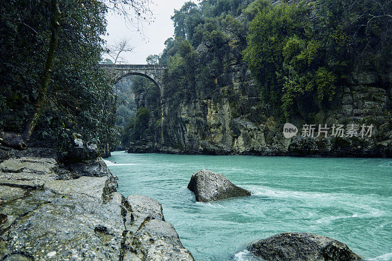 Koprulu Canyon-Manavgat-Antalya -火鸡